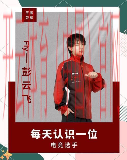 开云体育在线玩，独家揭秘职业运动员成长故事